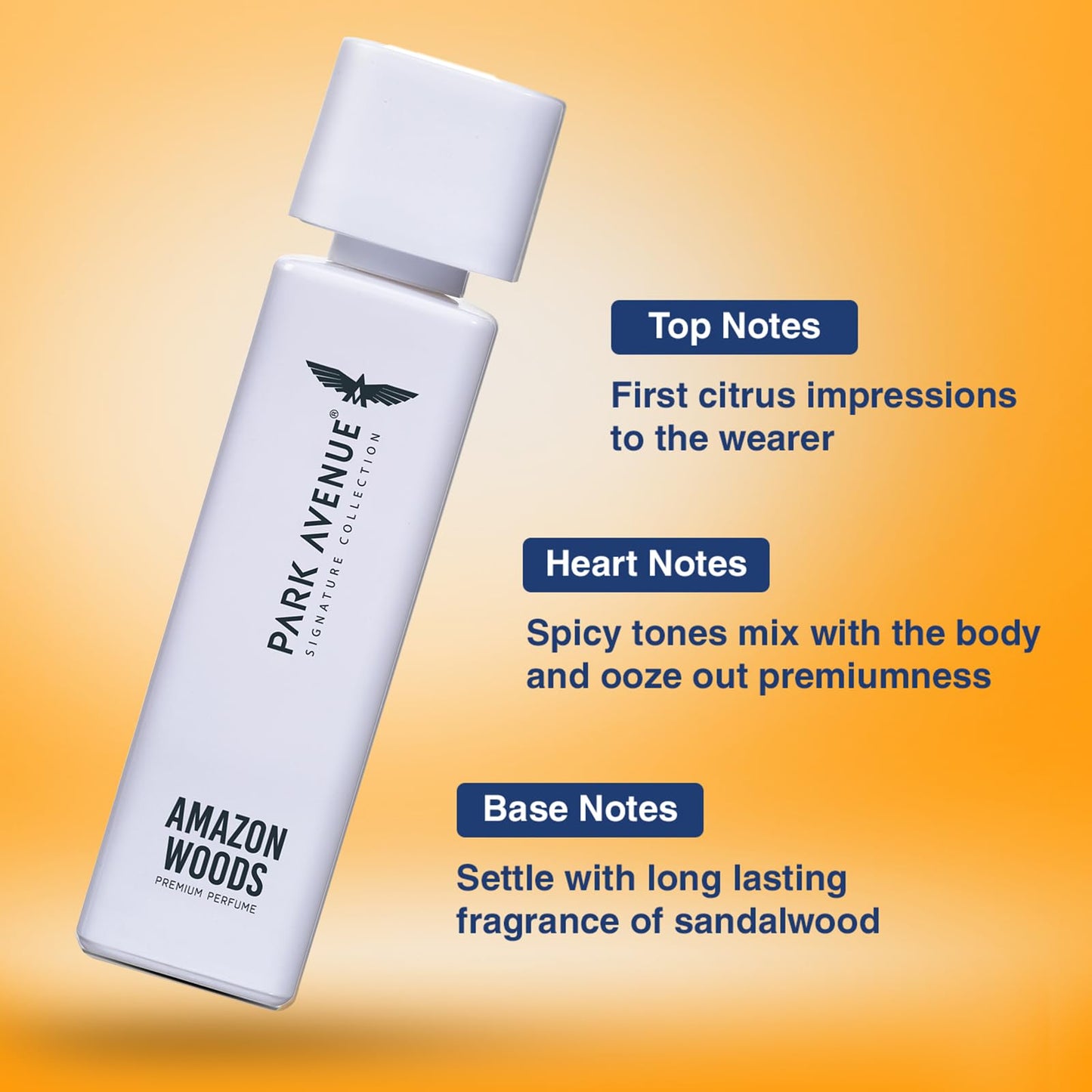 Park Avenue Voyage Signature Collection | Perfume for Men | Fresh Long-lasting Aroma Amazon Woods Premium Perfume | 120ml
